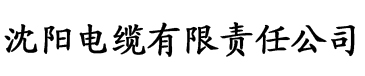 光棍影院理论在线观看电缆厂logo